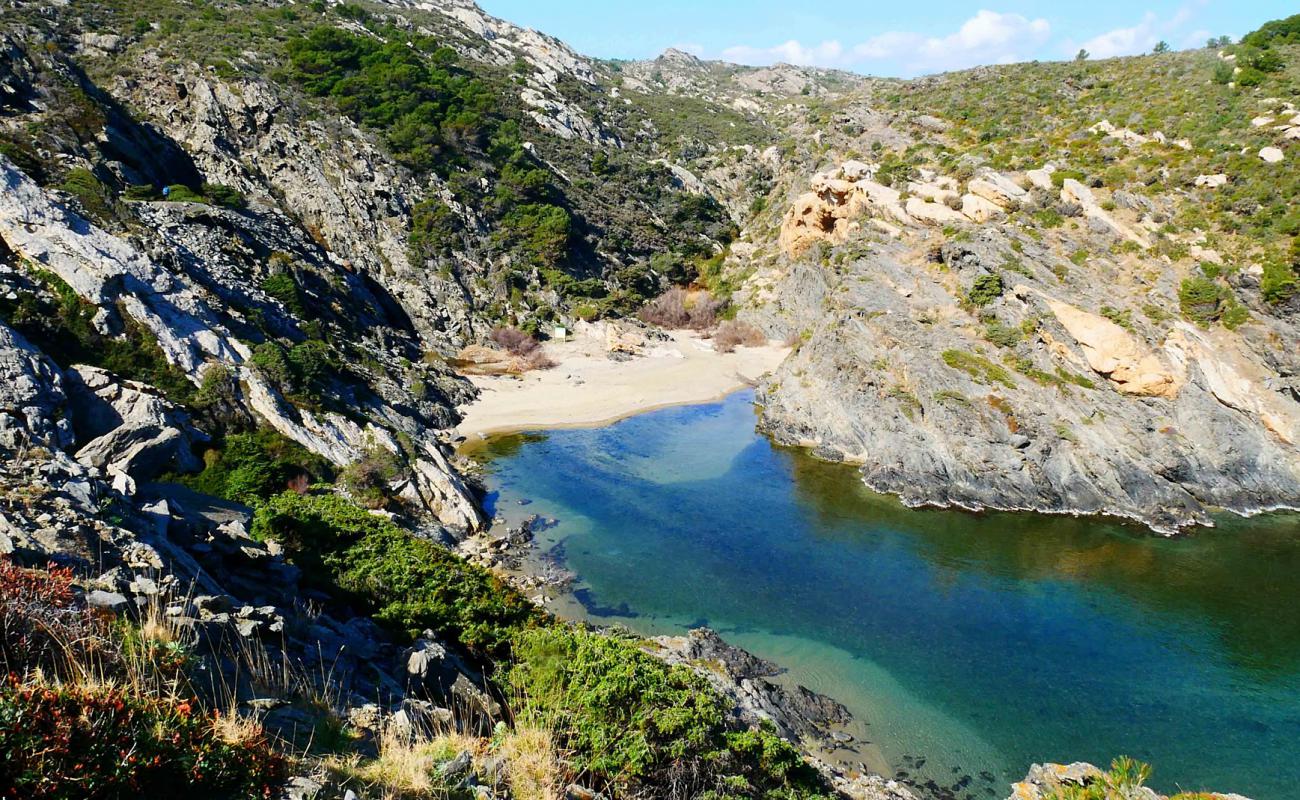 Platja de Neganta'in fotoğrafı kahverengi kum yüzey ile