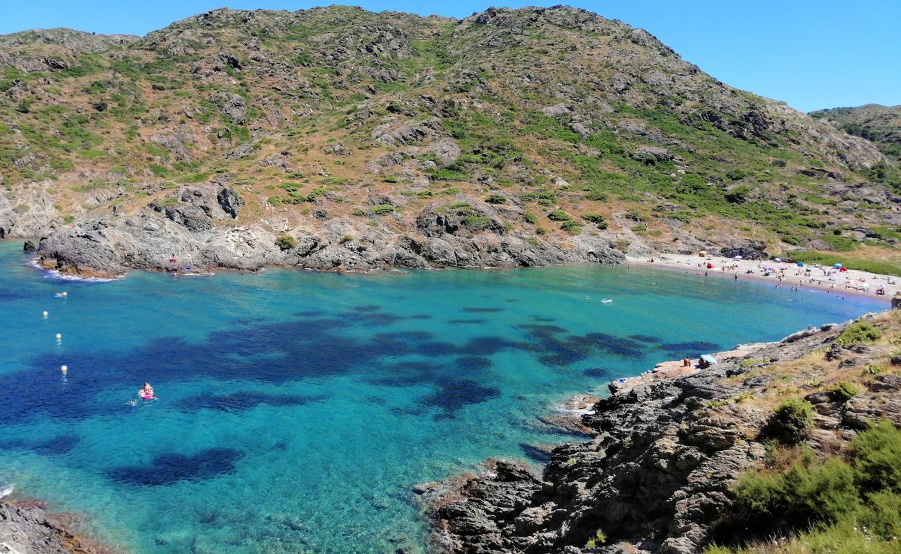 Cala Tamariua'in fotoğrafı küçük gri çakıllar yüzey ile