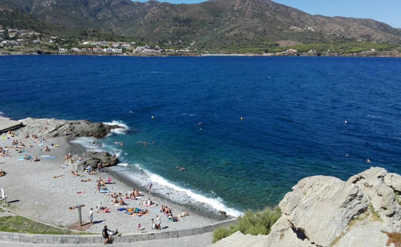 Platja del Pas'in fotoğrafı gri çakıl taşı yüzey ile