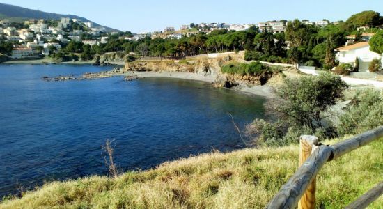 Platja d'en Robert