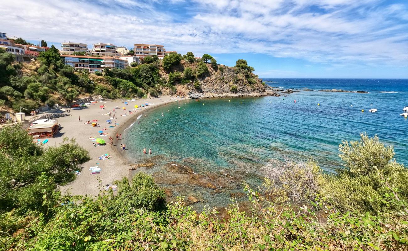 Platja del Cau del Llop'in fotoğrafı küçük gri çakıllar yüzey ile