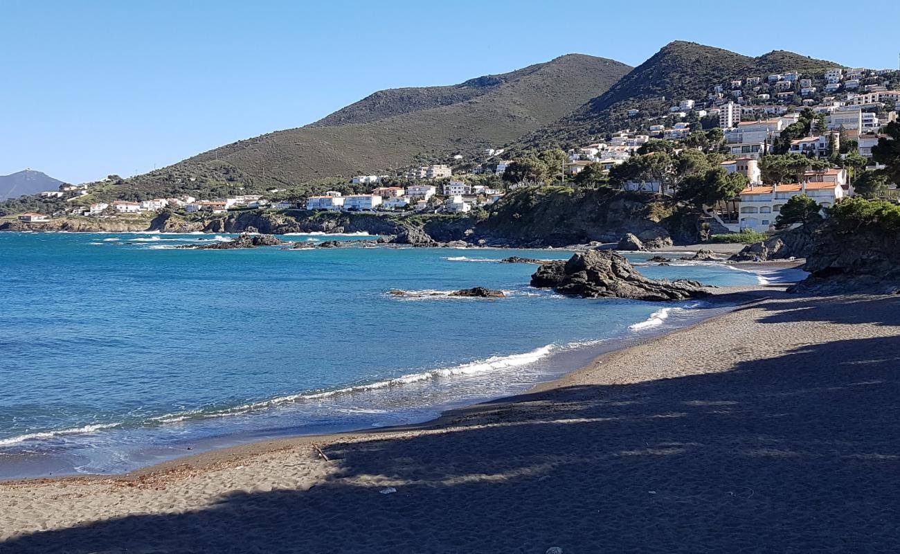 Platja de les Tonyines'in fotoğrafı küçük gri çakıllar yüzey ile