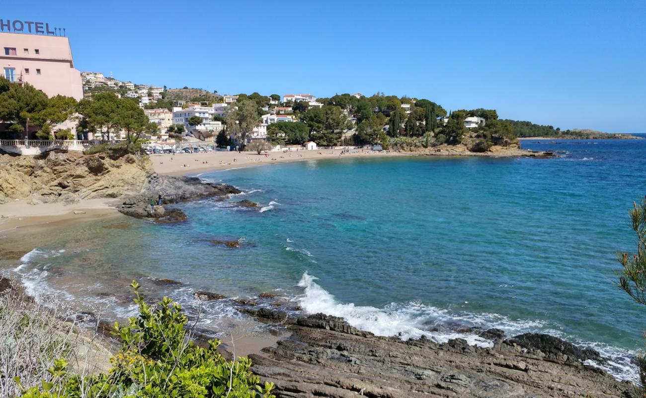 Platja de Grifeu'in fotoğrafı kahverengi kum yüzey ile