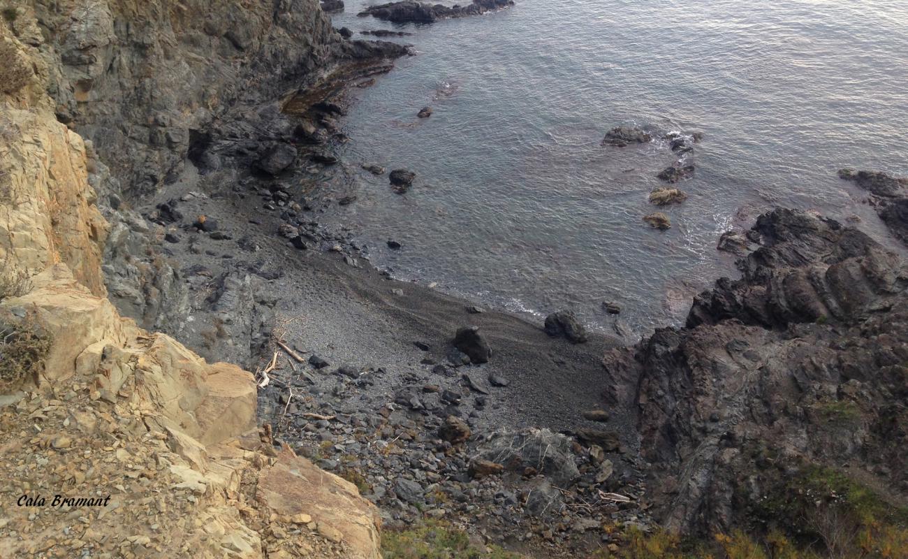 Platja del Fotener'in fotoğrafı gri ince çakıl taş yüzey ile