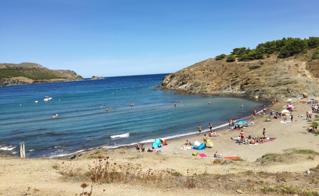 Platja del Borro'in fotoğrafı gri kum ve çakıl yüzey ile