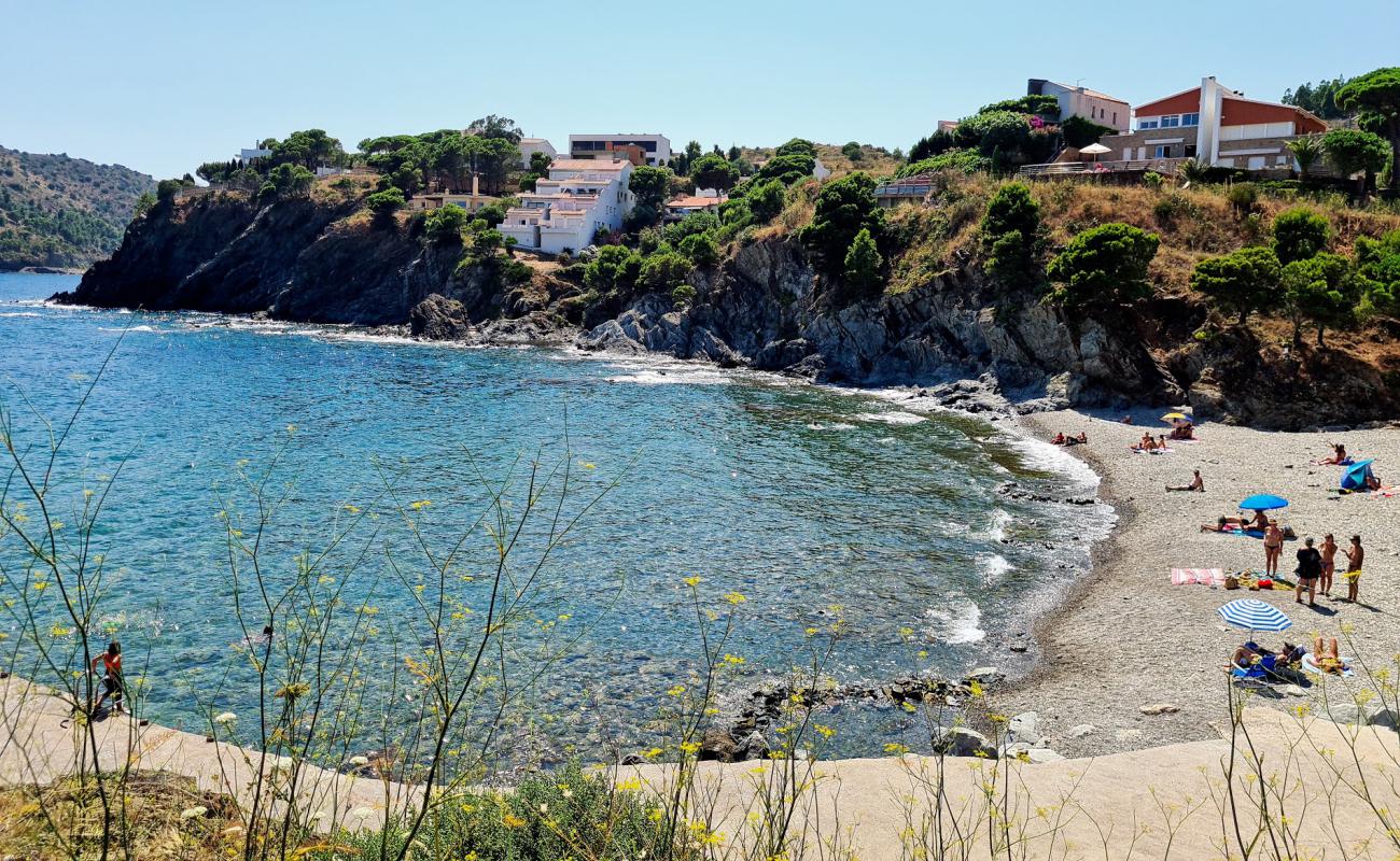 Platja Rovellada'in fotoğrafı gri çakıl taşı yüzey ile