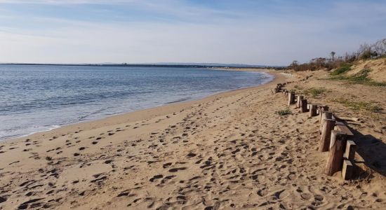 Playa la Bota