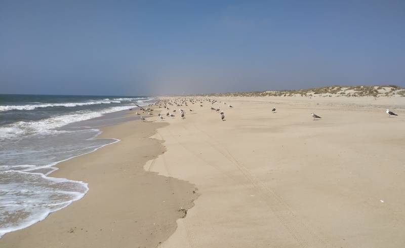 Playa del Coto'in fotoğrafı açık bej kum yüzey ile