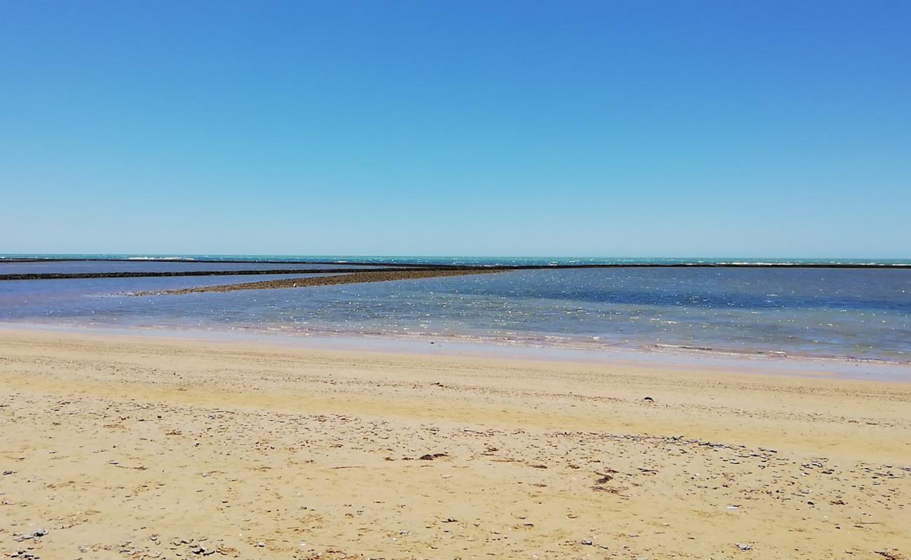 Playa el Camaleon'in fotoğrafı parlak kum yüzey ile