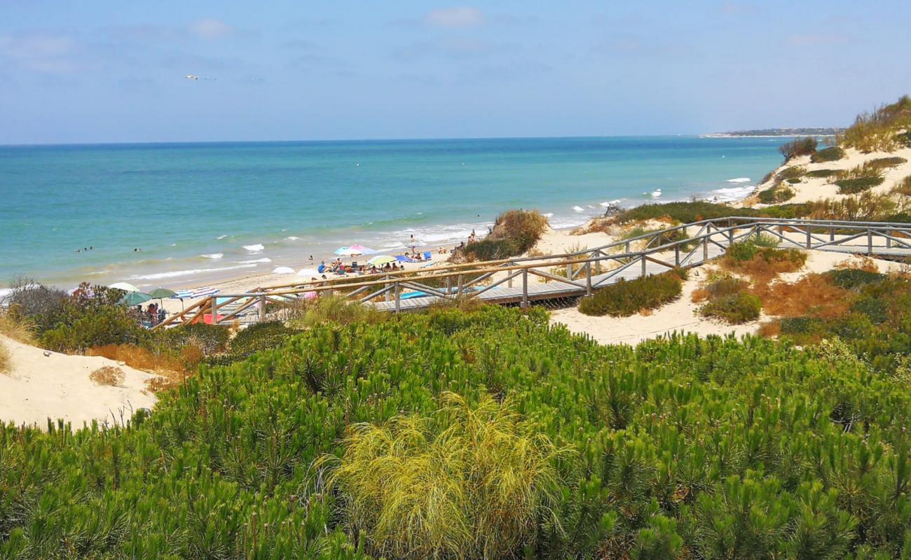 Playa de Punta Candor'in fotoğrafı parlak ince kum yüzey ile