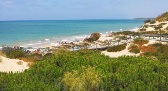 Playa de Punta Candor