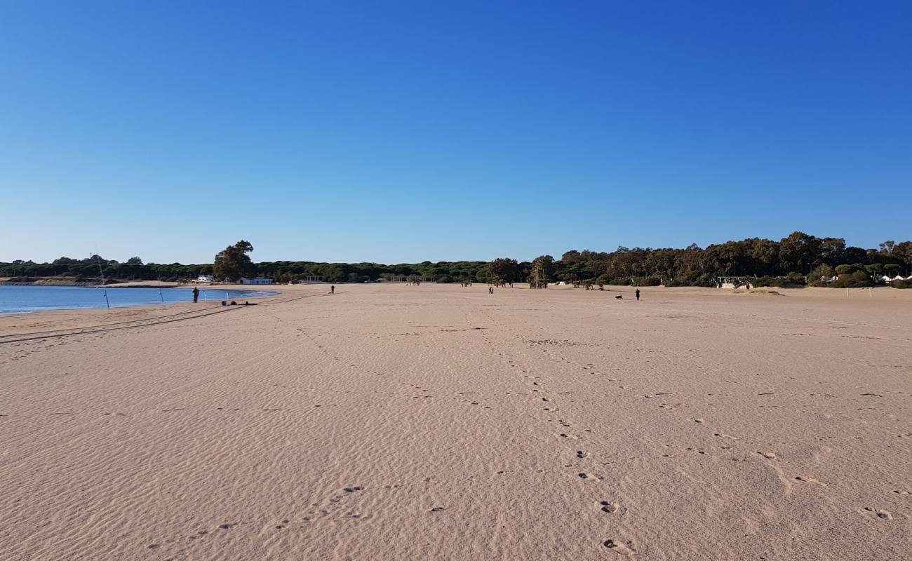 Playa de la Puntilla'in fotoğrafı parlak ince kum yüzey ile