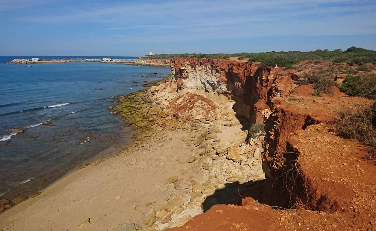 Cala Puntalejo'in fotoğrafı açık bej kum yüzey ile