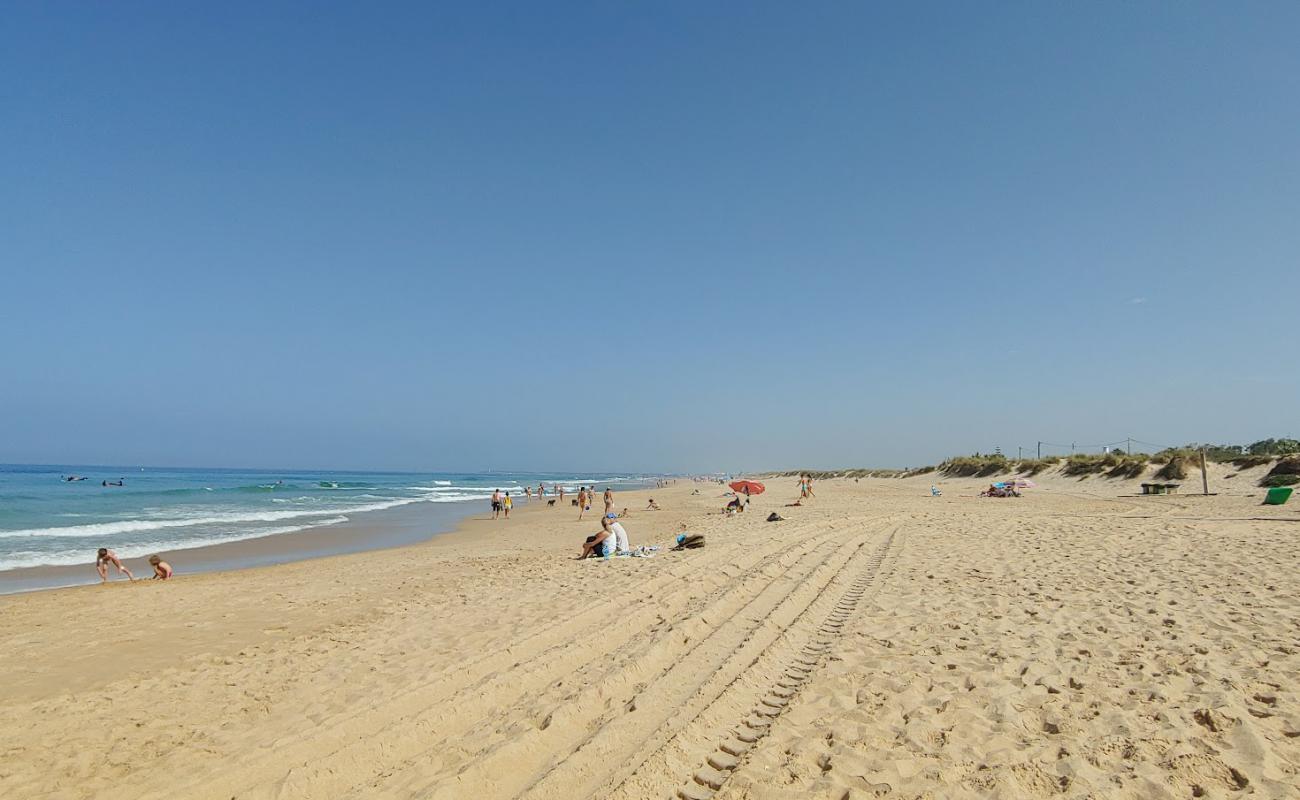 El Palmar Beach'in fotoğrafı açık bej kum yüzey ile