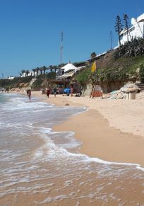 Barbate