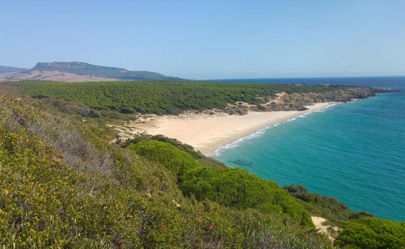 Canuelo Plajı'in fotoğrafı parlak ince kum yüzey ile