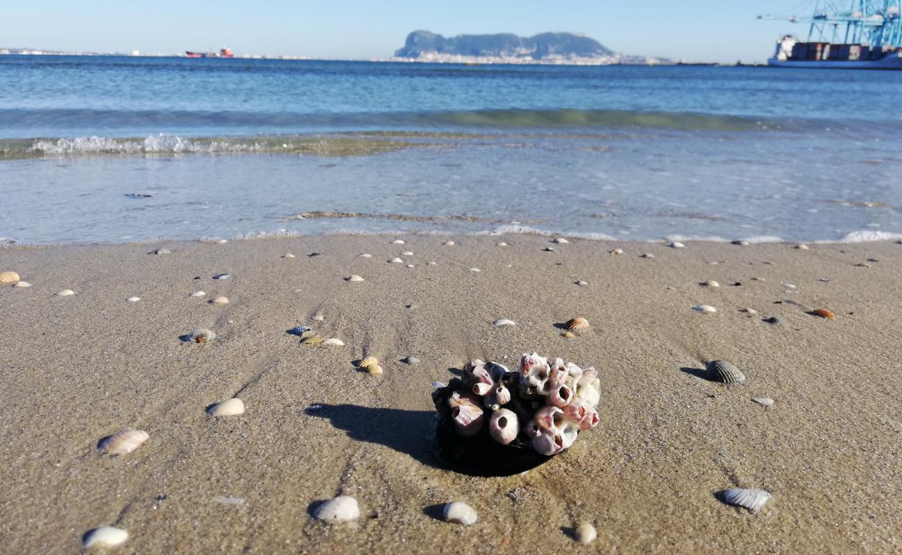 Playa del Rinconcillo'in fotoğrafı açık bej kum yüzey ile