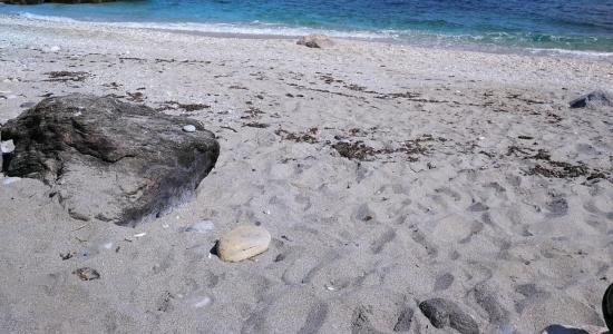 Caleta beach