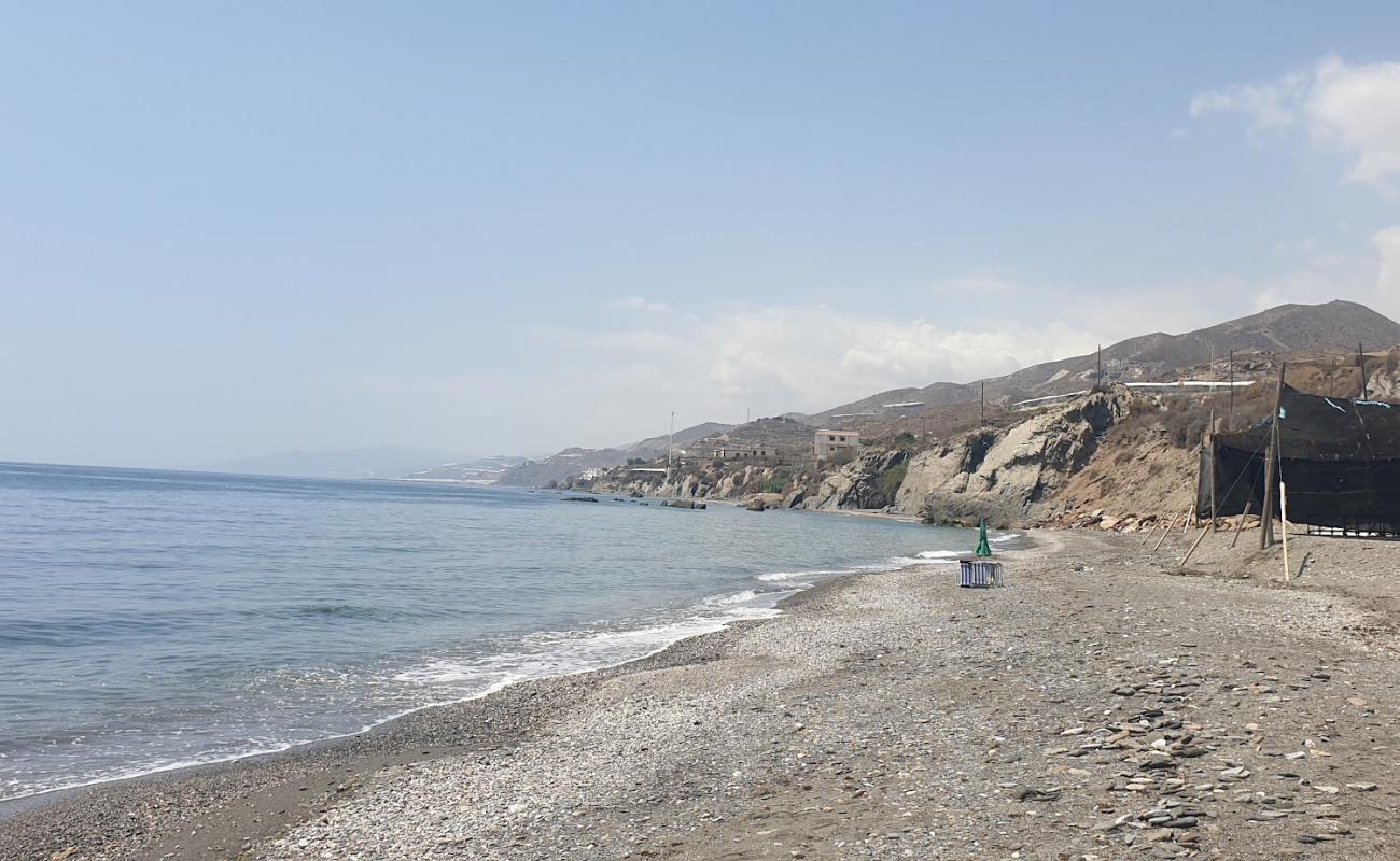 Nemo beach'in fotoğrafı çok temiz temizlik seviyesi ile