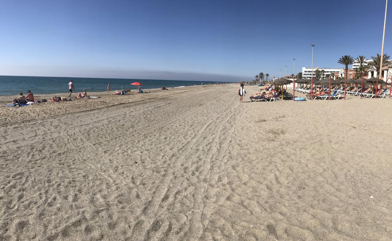 Serena Plajı'in fotoğrafı gri deniz kabuğu kumu yüzey ile