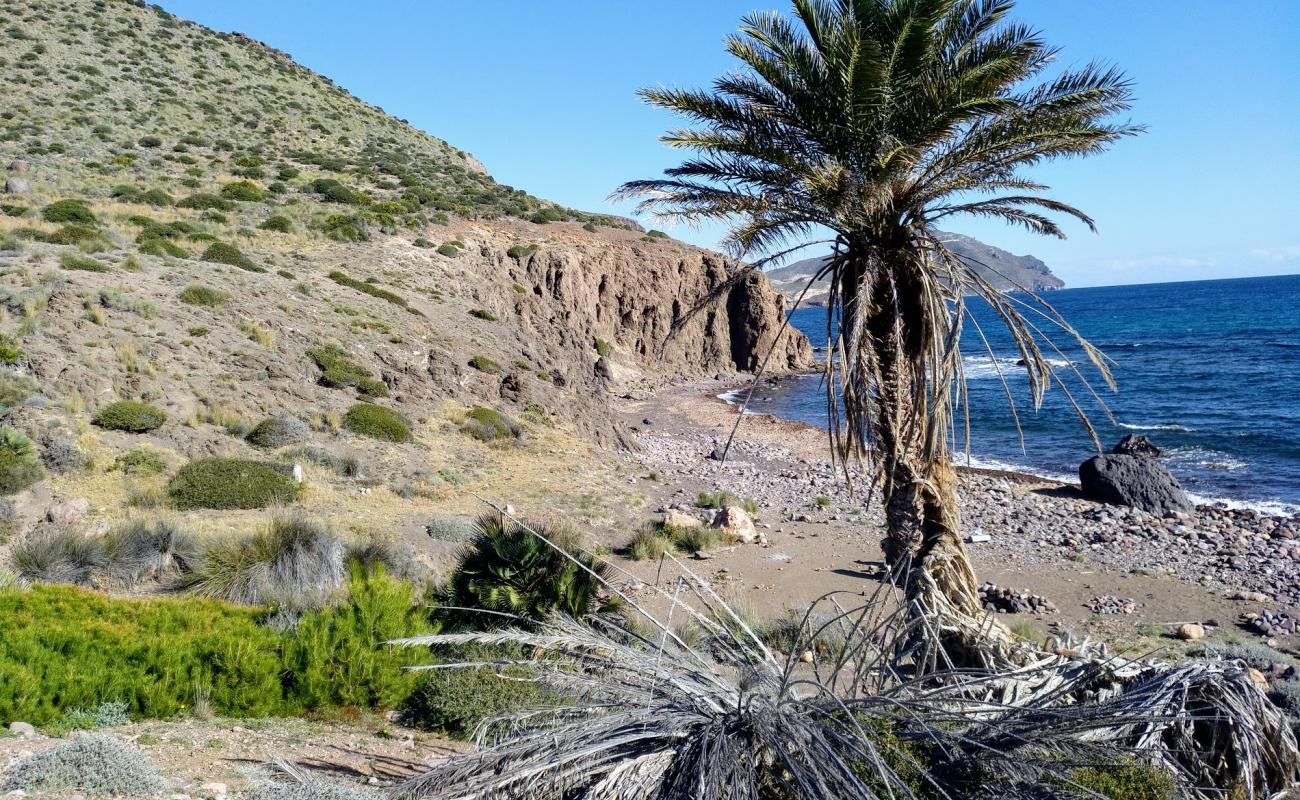 Cala de los Toros'in fotoğrafı taşlı kum yüzey ile