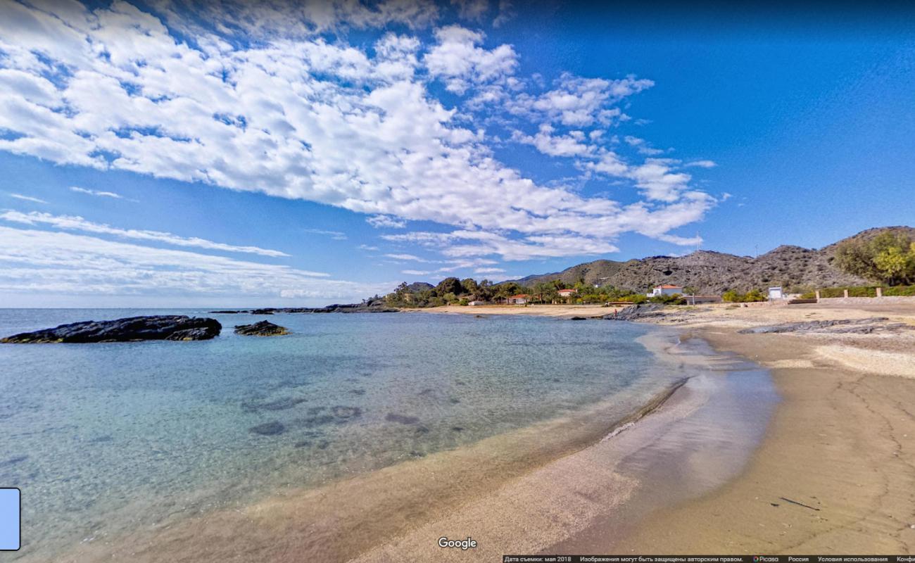 Playa Cala Panizo'in fotoğrafı vahşi alan