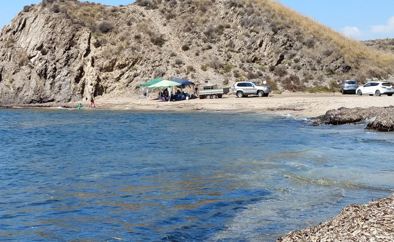 Cala del Pino'in fotoğrafı kahverengi deniz kabuğu kumu yüzey ile