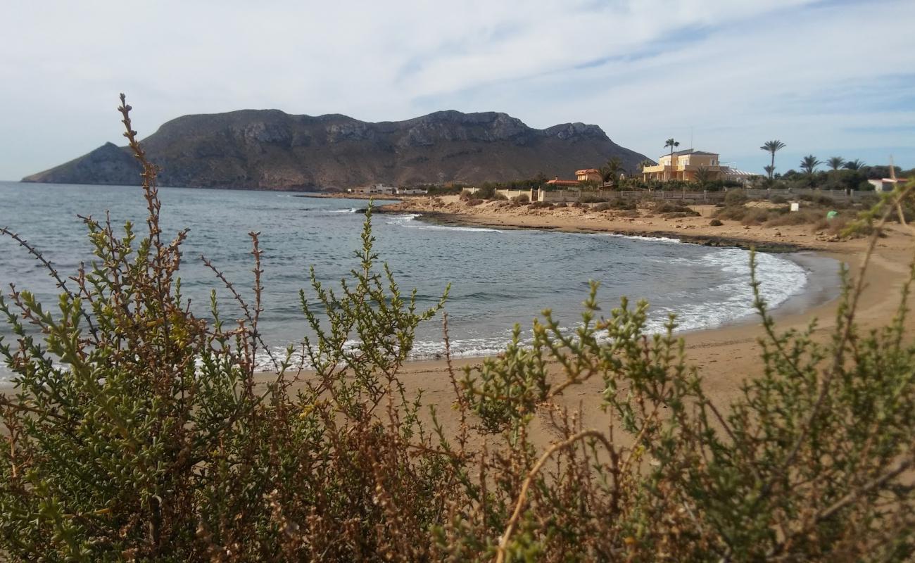 Playa del Charco'in fotoğrafı kahverengi kum yüzey ile