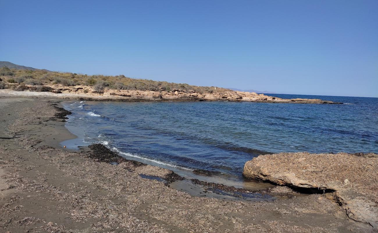 Playa del Pocico del Animal'in fotoğrafı gri kum yüzey ile