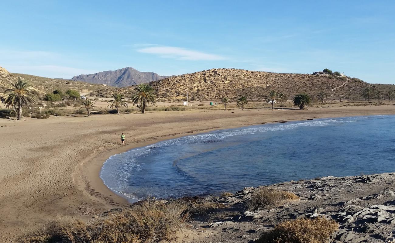 Percheles Plajı'in fotoğrafı kahverengi kum yüzey ile