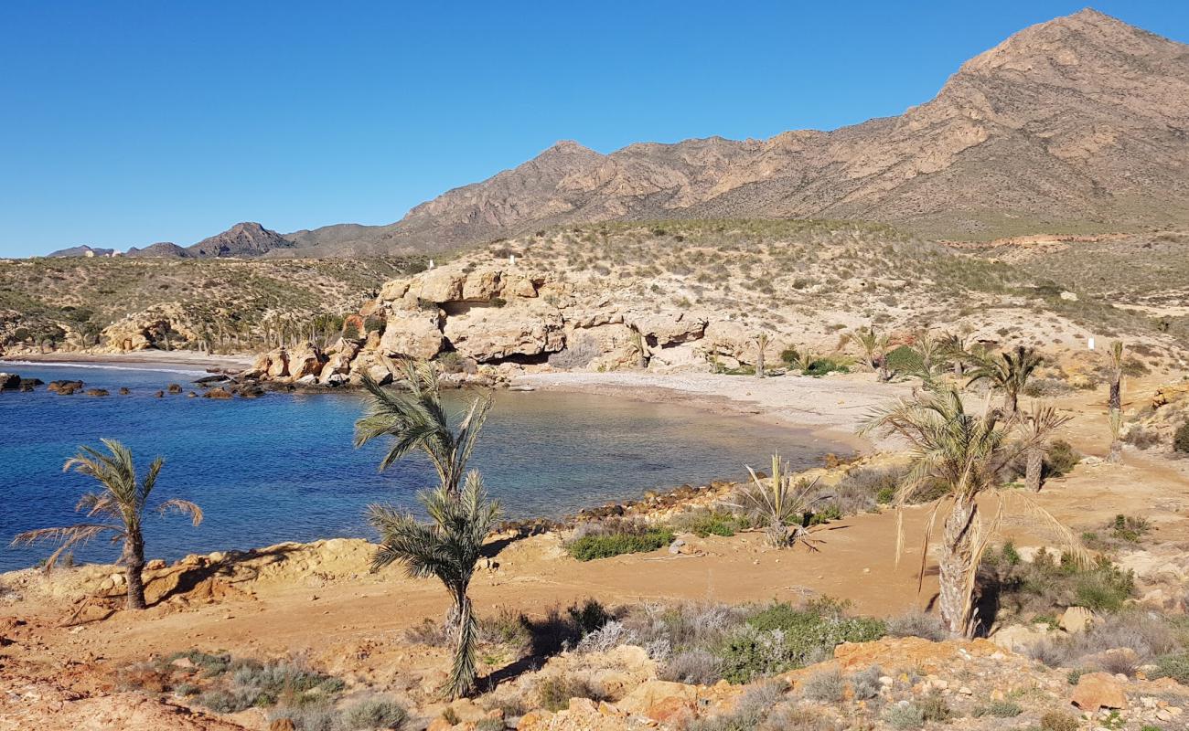 Playa de La Grua'in fotoğrafı kahverengi kum yüzey ile