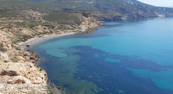 Playa Amarilla