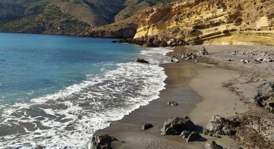 Playa de la Avispa