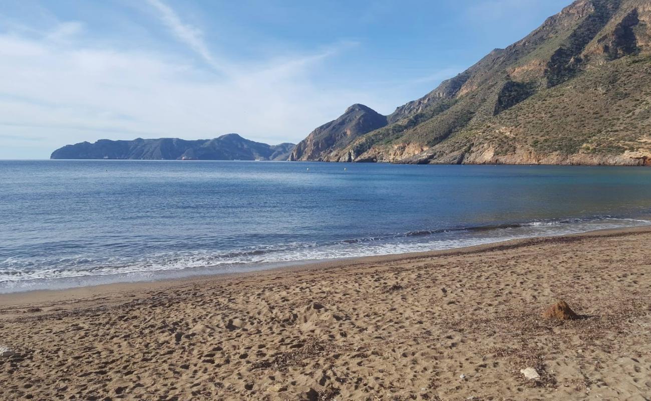 Playa de la Morena'in fotoğrafı gri kum yüzey ile