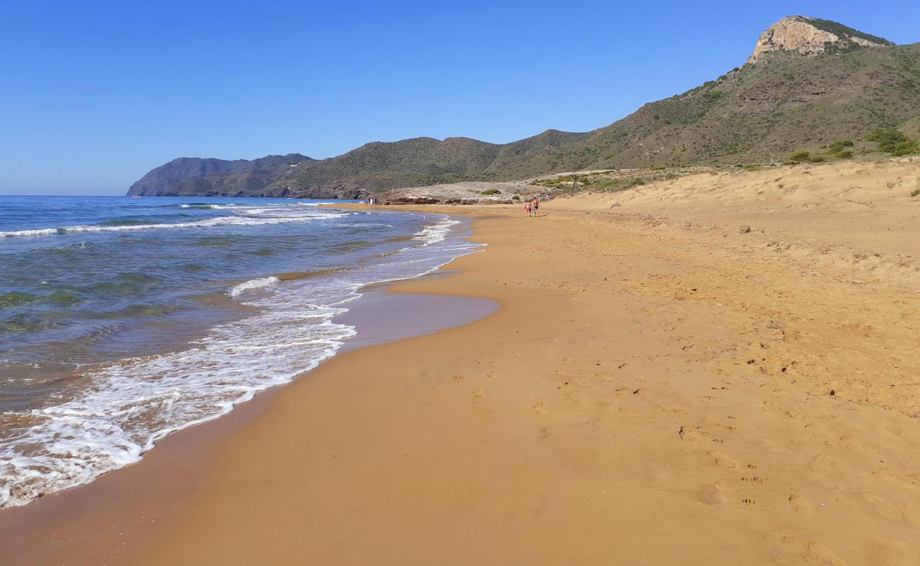 Playa Larga'in fotoğrafı kahverengi kum yüzey ile