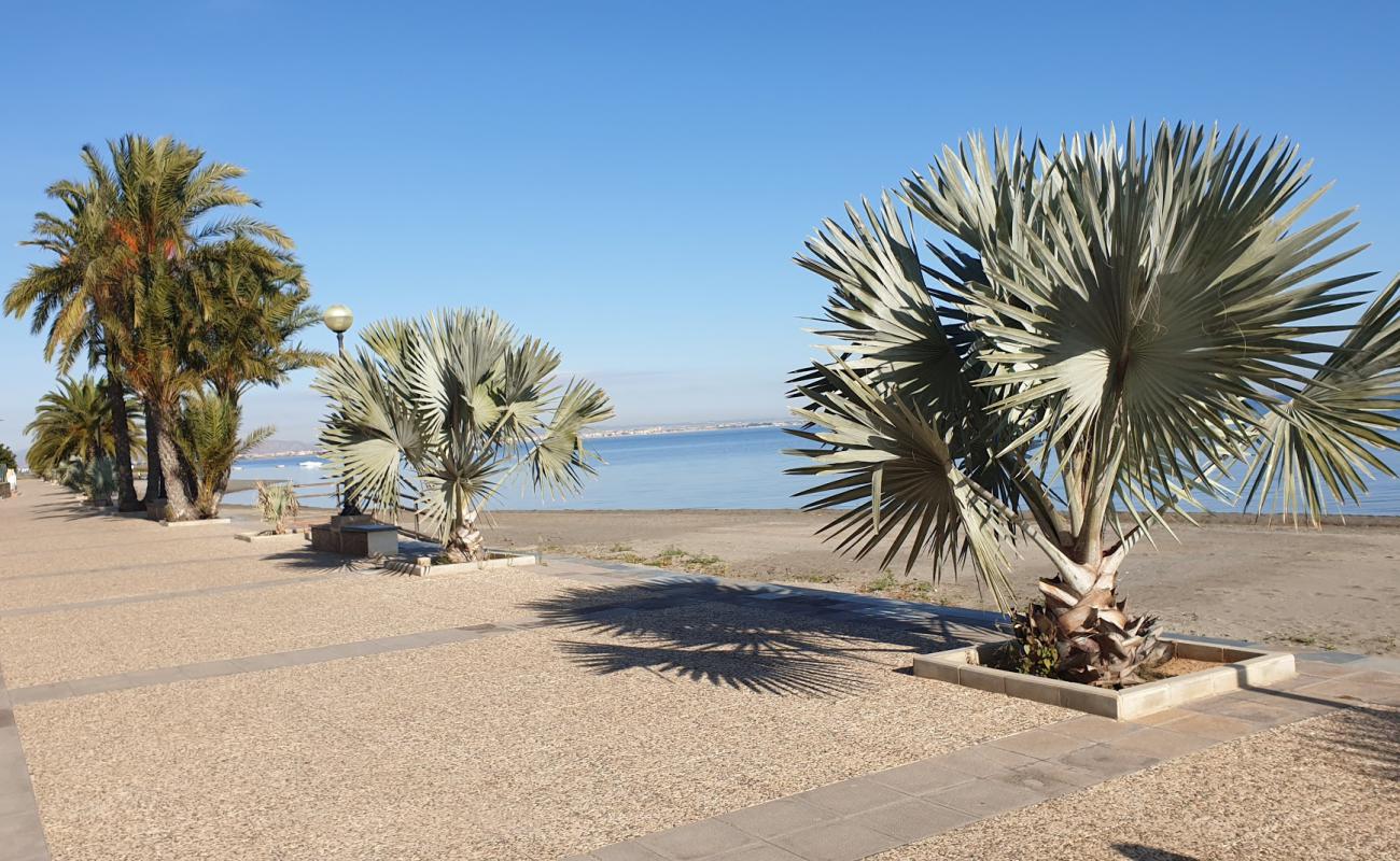 Playa Punta Brava'in fotoğrafı kahverengi kum yüzey ile