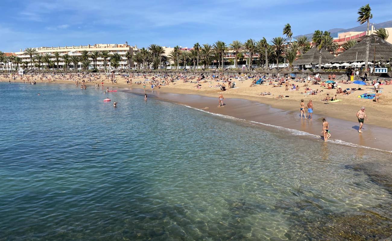 Playa del Camison'in fotoğrafı parlak ince kum yüzey ile