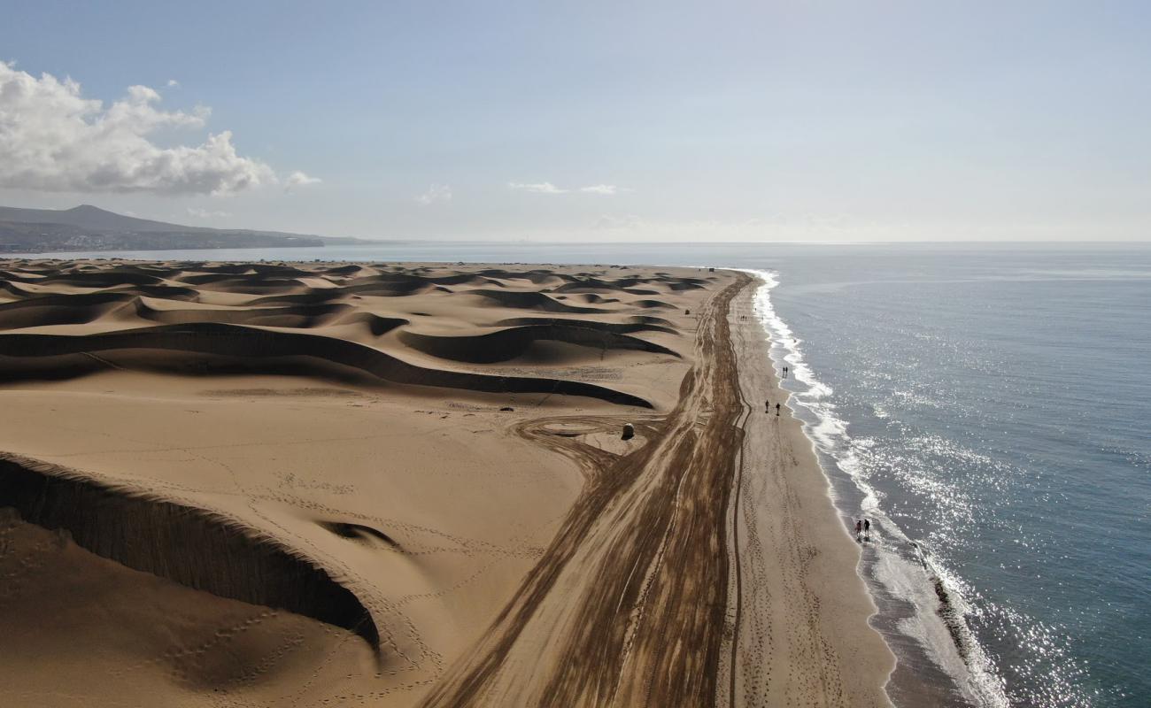 Maspalomas Wild'in fotoğrafı i̇nce bej kum yüzey ile