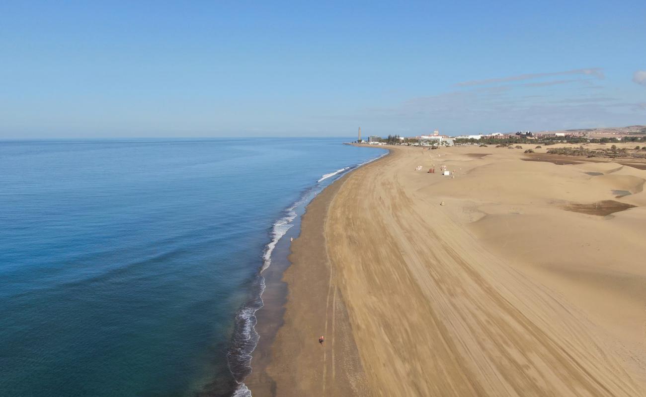 Maspalomas Plajı III sahili'in fotoğrafı i̇nce bej kum yüzey ile