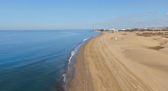 Maspalomas Plajı III sahili