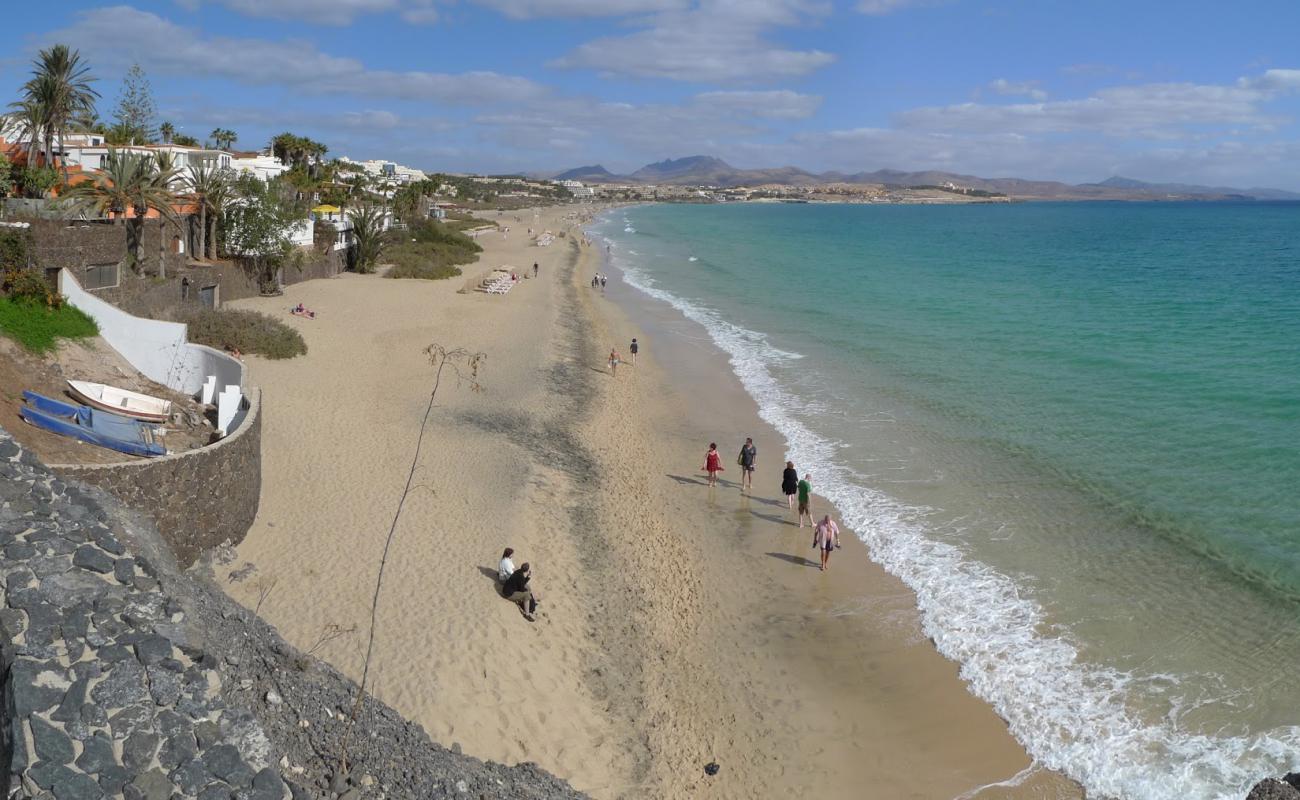 Costa Calma Plajı'in fotoğrafı parlak ince kum yüzey ile