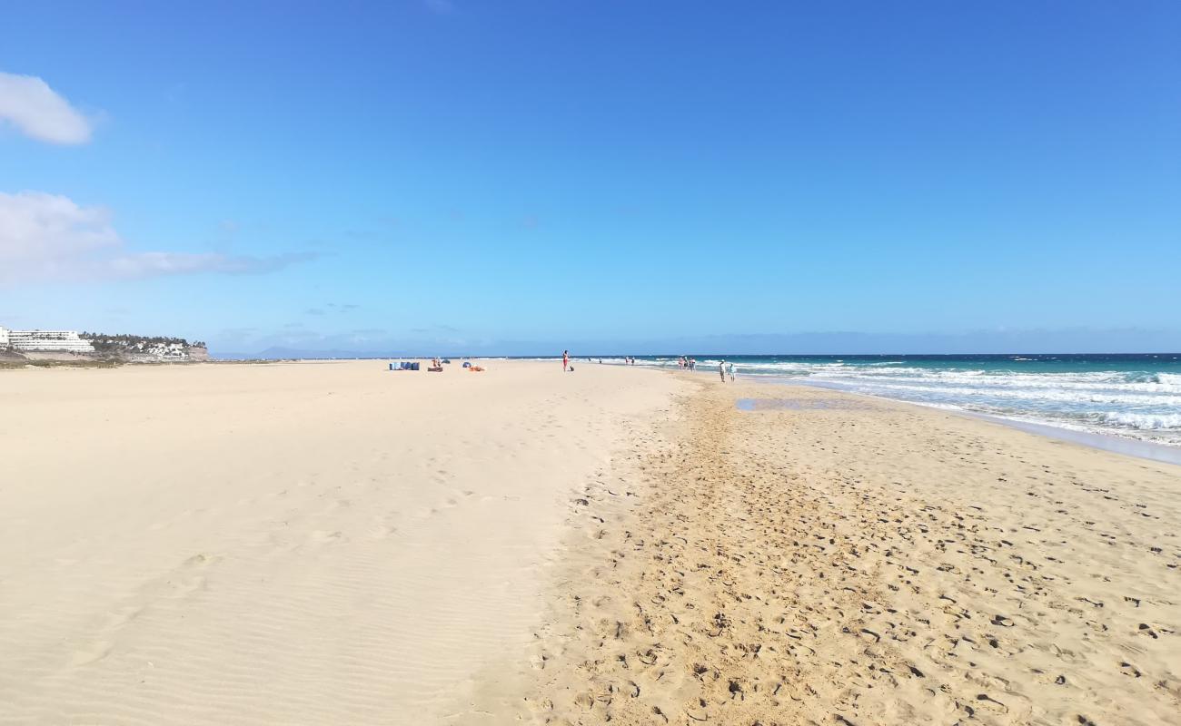 Gaviotas Plajı'in fotoğrafı parlak ince kum yüzey ile