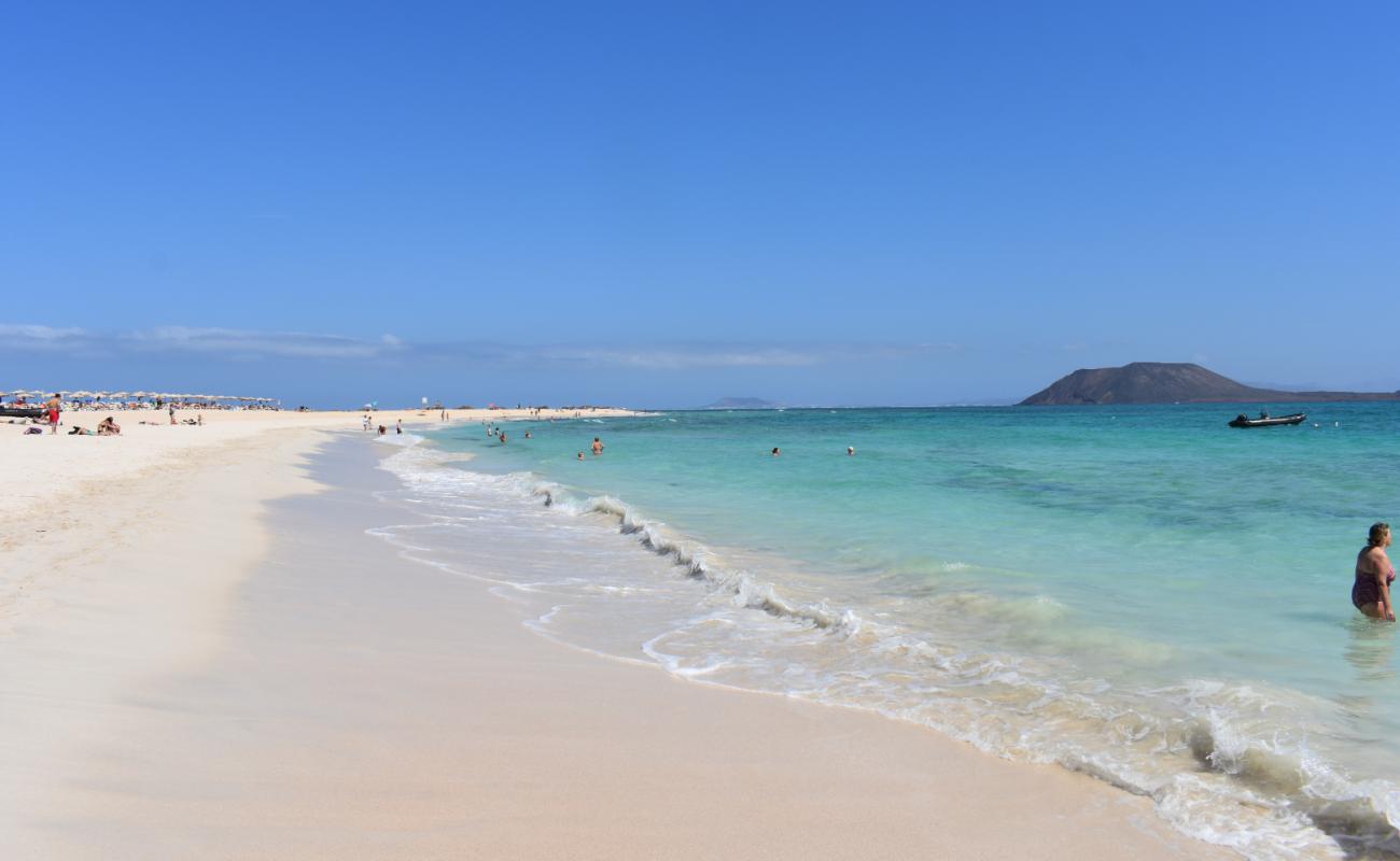 Playa De Corralejo'in fotoğrafı parlak ince kum yüzey ile