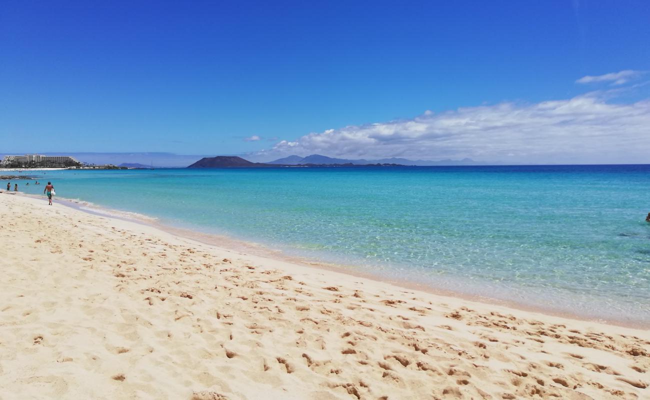 Playa Larga'in fotoğrafı parlak ince kum yüzey ile