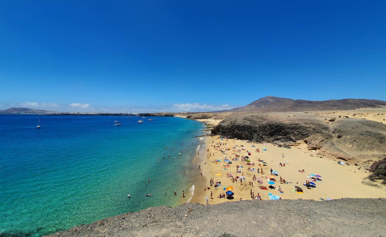 Playa Caleta del Congrio'in fotoğrafı parlak ince kum yüzey ile