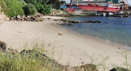 Praia do Cocho