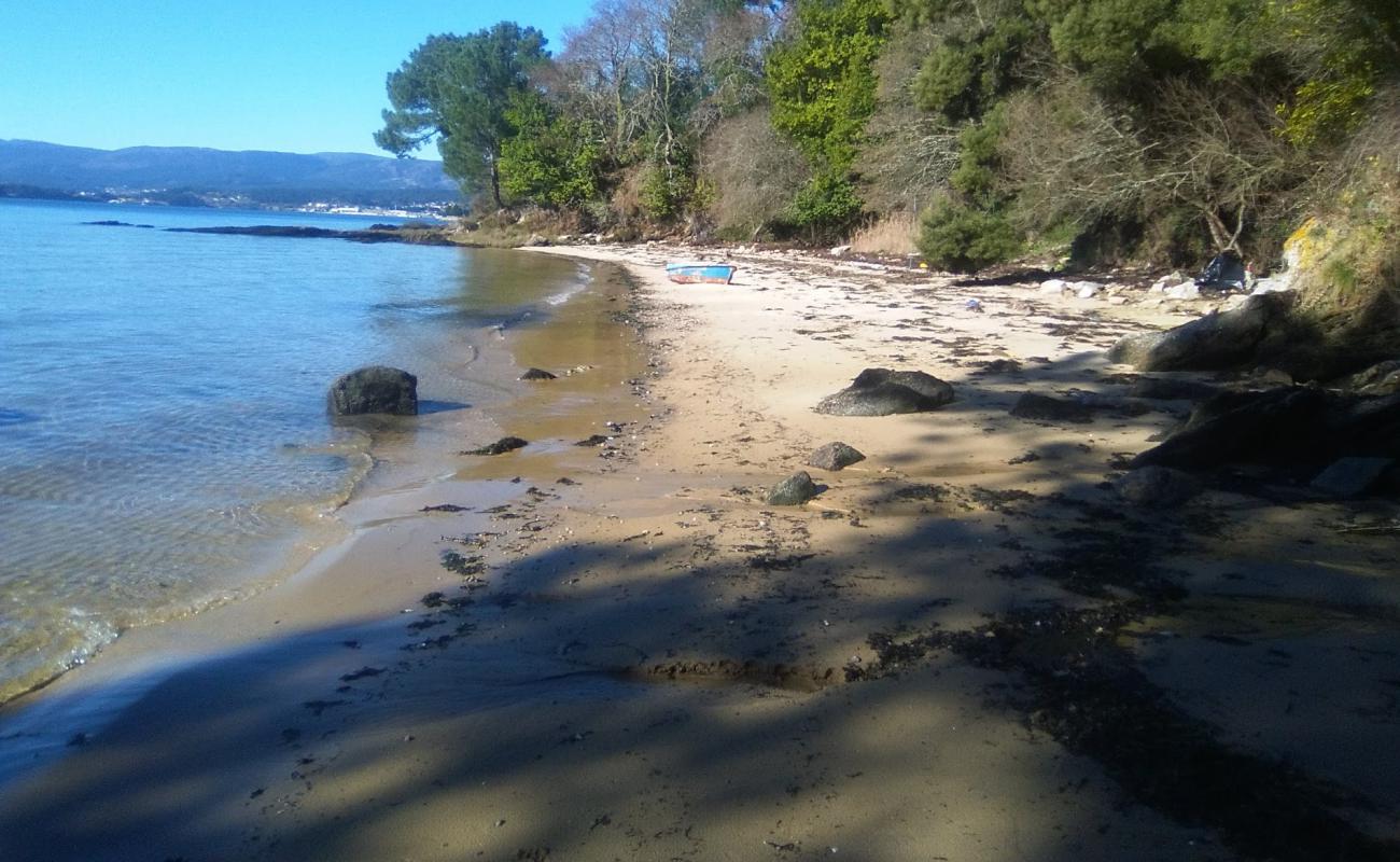 Trunk beach'in fotoğrafı parlak kum yüzey ile