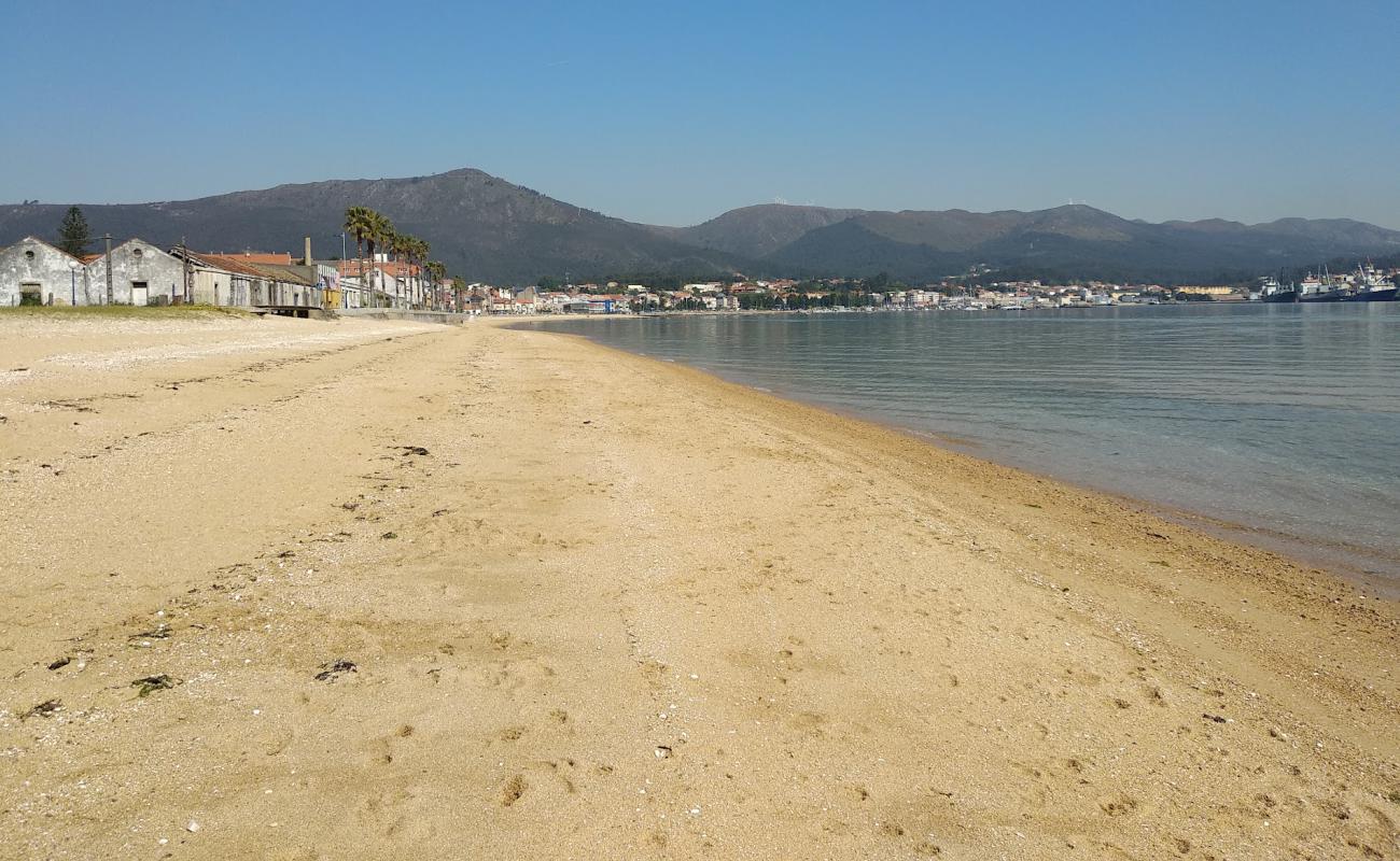 Areal beach'in fotoğrafı parlak kum yüzey ile