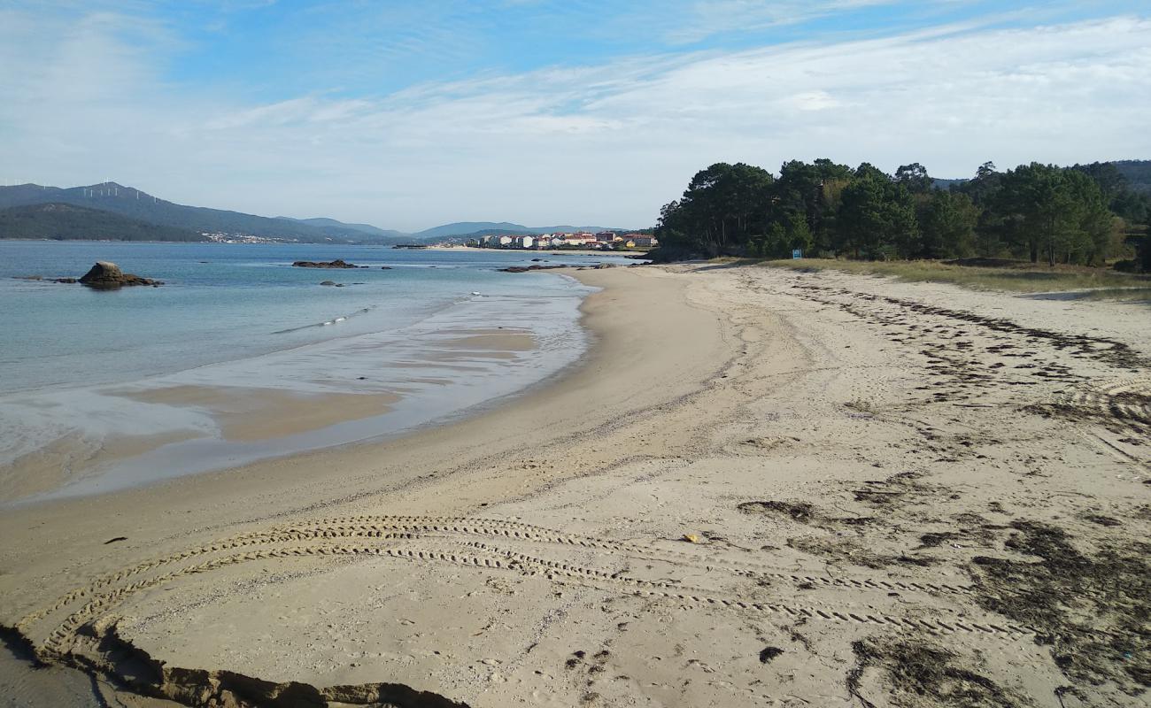 Pozo beach'in fotoğrafı beyaz ince kum yüzey ile