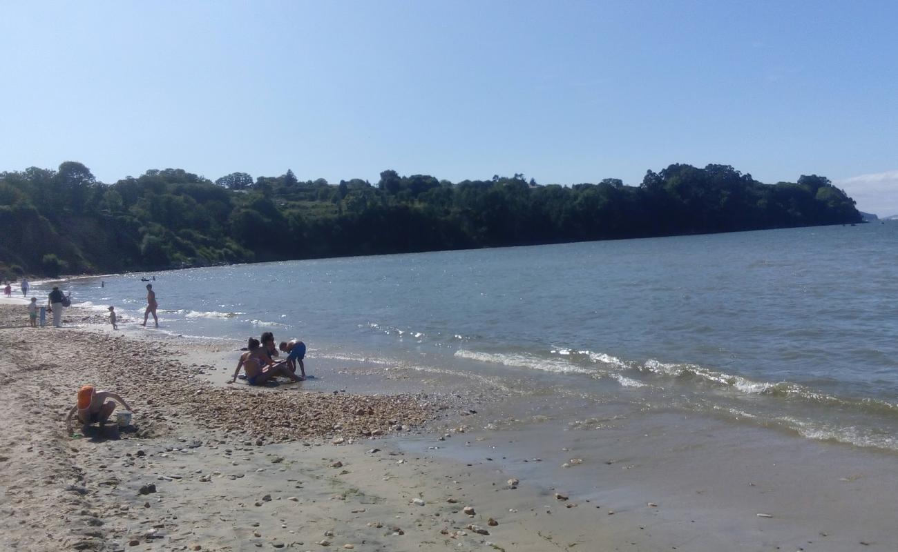 Praia Regueiro'in fotoğrafı beyaz kum yüzey ile